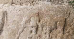 Calvi Risorta – L’antica Cales continua a regalare tesori: ritrovato antico bassorilievo