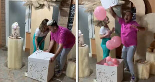 Sessa Aurunca- Veronica e Gabriele scoprono che avranno una bimba durante il baby shower (il video)