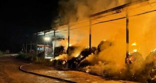 CAPUA – Azienda agricola in fiamme: le due ipotesi sulle cause