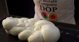 ORO BIANCO – Cala il consume di Mozzarella di bufala campana Dop, il solito dubbio