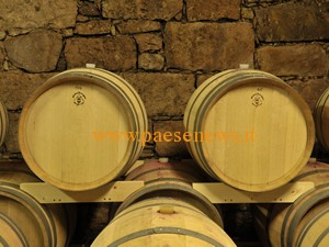 4 vini rossi del Trentino da provare